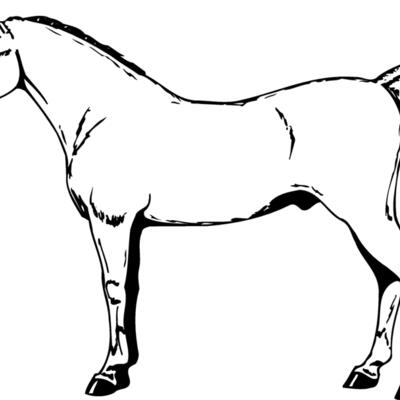 HORSE026 Thumbnail